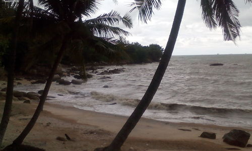 Scenic view of beach