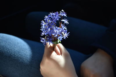 Close-up of hand holding purple flower