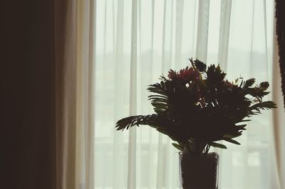 Close-up of vase against window at home