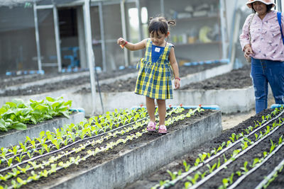 Rear view of woman standing in greenhouse