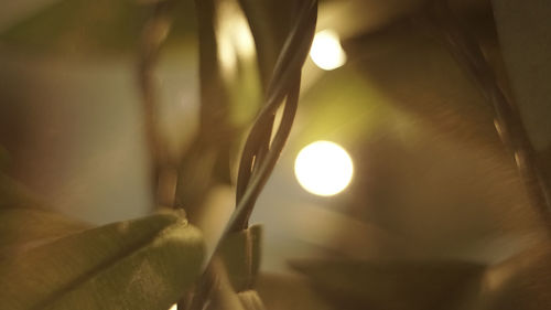 Close-up of illuminated lights at home