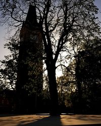 Silhouette trees by building against sky