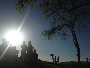 Silhouette people sitting by tree against bright sun