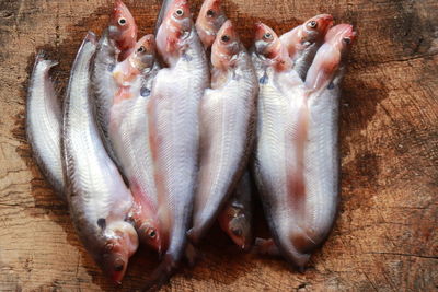 High angle view of fish on table