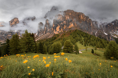 Clouds in the dolomites