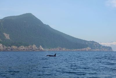 Scenic view of sea and mountains