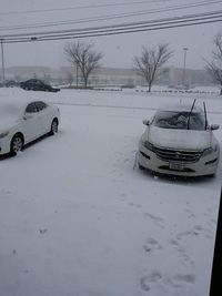 Snow covered car by bare trees against sky