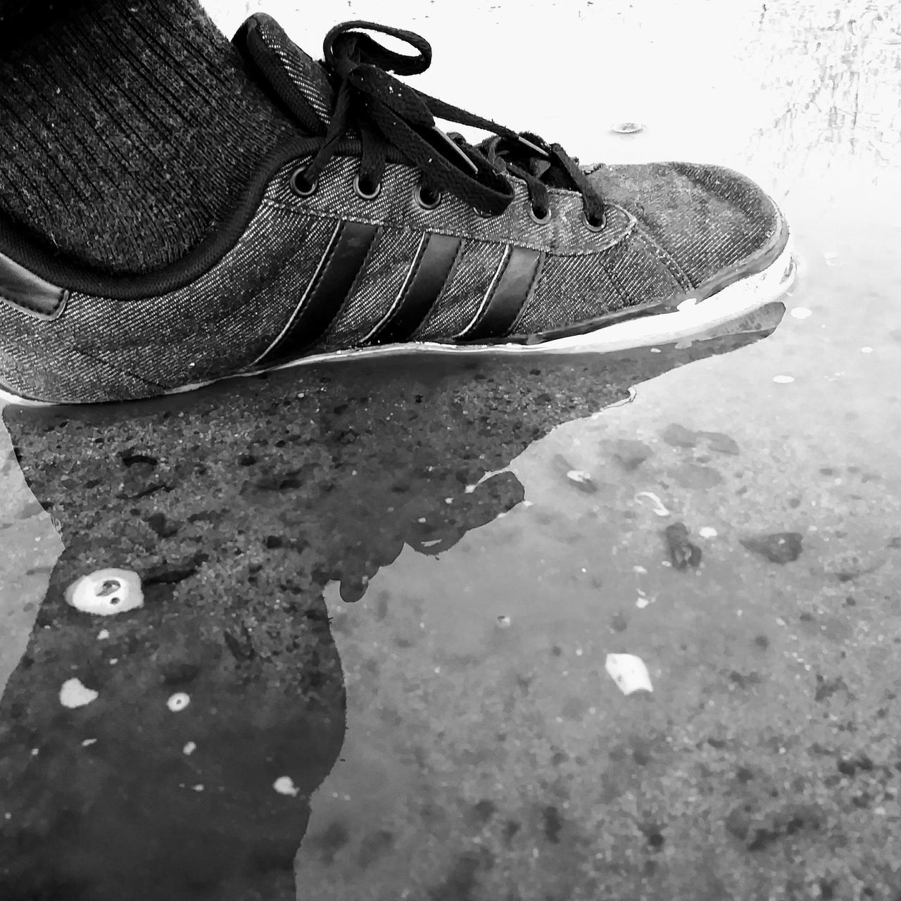 shoe, pair, no people, day, things that go together, outdoors, close-up, winter, water, ice skate