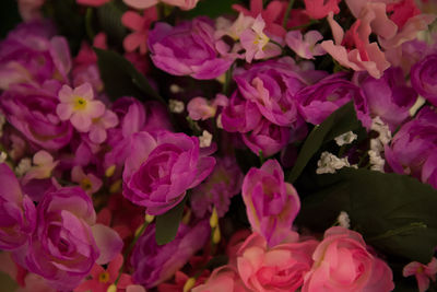 Full frame shot of pink flowers