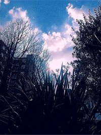 Low angle view of silhouette trees against sky at sunset