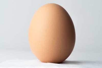 Close-up of egg against white background