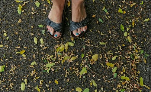 Low section of woman standing on autumn leaves