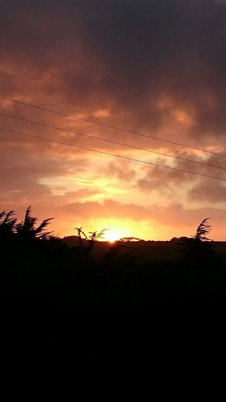 sunset, animal themes, silhouette, bird, flying, animals in the wild, sky, wildlife, flock of birds, beauty in nature, scenics, nature, tranquil scene, cloud - sky, orange color, tranquility, landscape, sun, low angle view