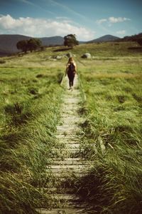 Rear view of woman walking on boardwalk amidst grassy field