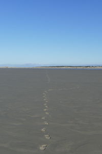 Scenic view of beach against clear blue sky