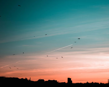 Low angle view of birds flying in sky