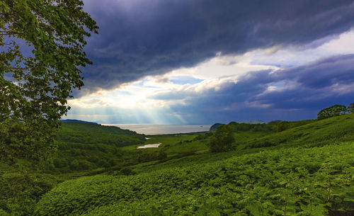 Scenic view of field against sky