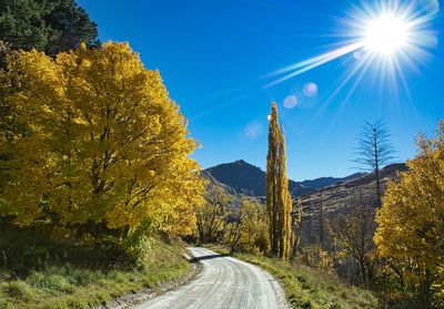 Road amidst trees against sky during autumn