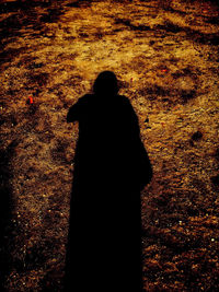 Rear view of silhouette man standing on field at night