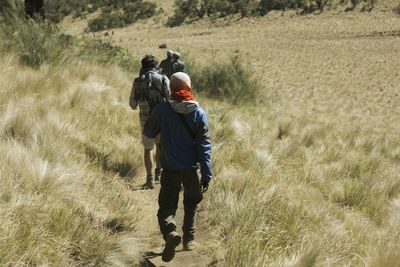 Rear view of hiker walking on pathway