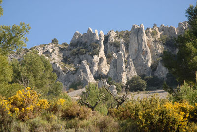 Panoramic view of trees and rocks against clear sky