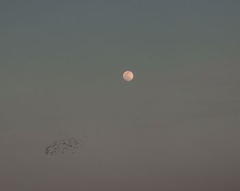 Low angle view of moon against clear sky at night