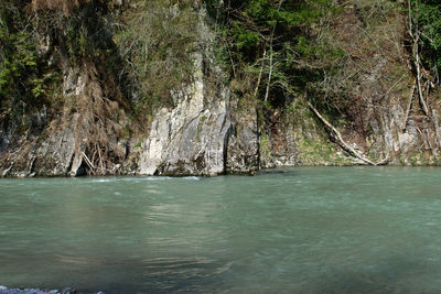 Scenic view of sea and trees