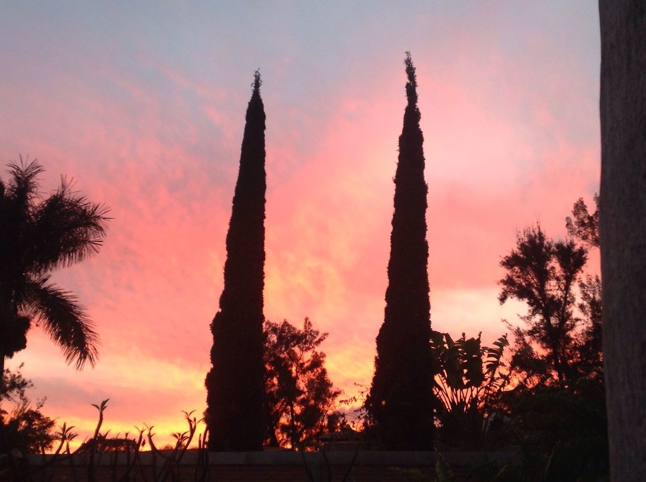 sunset, silhouette, orange color, tree, sky, architecture, built structure, low angle view, nature, beauty in nature, cloud - sky, tall - high, scenics, tranquility, growth, tree trunk, outdoors, no people, travel destinations, tranquil scene, sun, dramatic sky, tourism, cloud, idyllic