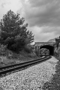 Trees on snow covered landscape against sky
