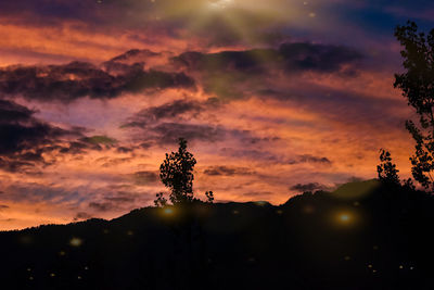 Silhouette plants against dramatic sky during sunset