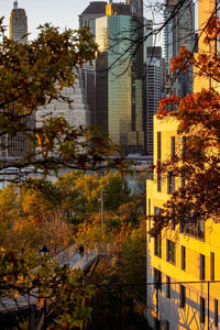 Modern buildings in city during autumn