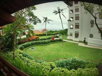 View of swimming pool in garden