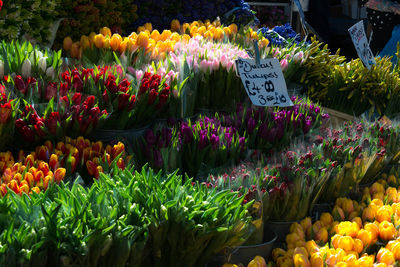 Various flowers in market for sale