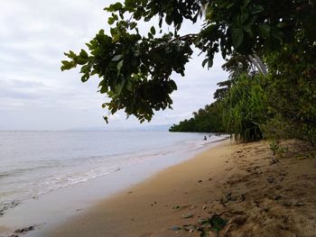 Scenic view of beach against sky