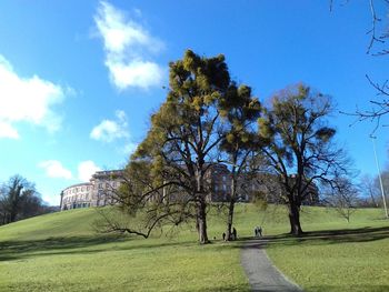 Trees on landscape against blue sky