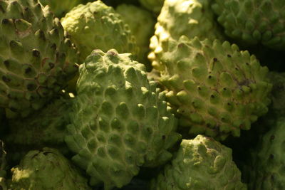 Close-up of sweetsop / sugar apple