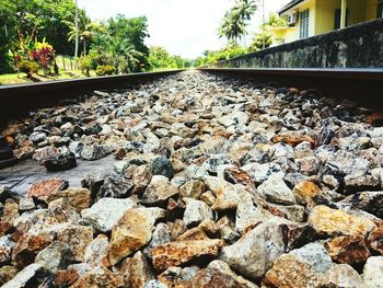 Close-up of railroad track amidst trees