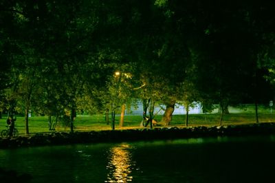 Scenic view of trees by river