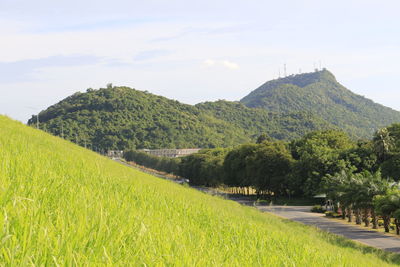 Scenic view of field against sky