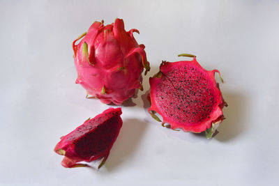 Close-up of pink roses against white background