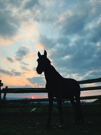 Silhouette horse standing on field against sky during sunset
