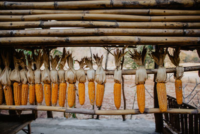 Clothes drying on clothesline