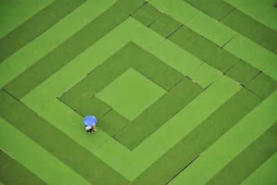 High angle view of friends with umbrella at park