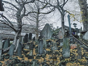 Low angle view of bare trees in cemetery against building