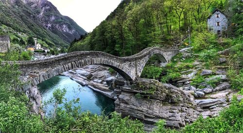 Bridge over river in forest