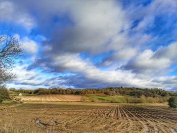 Scenic view of agricultural field against sky