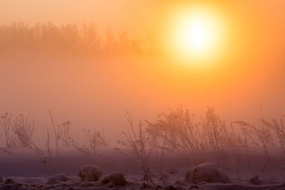 Scenic view of snow covered land during golden misty winter sunrise