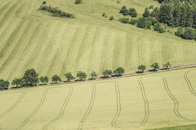 Scenic view of agricultural field