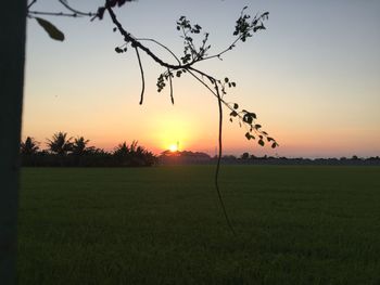 Scenic view of field against sky during sunset