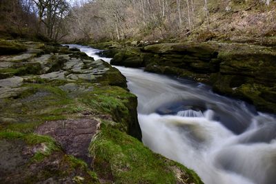 Stream flowing through rocks in forest